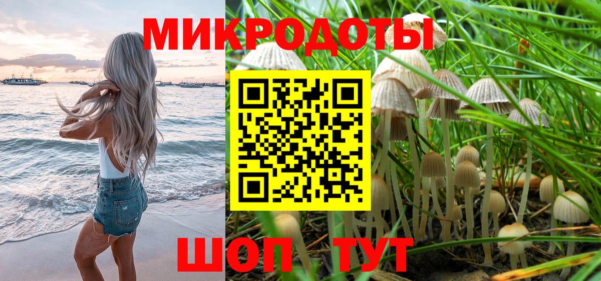 Галлюциногенные грибы GOLDEN TEACHER  Вход с VPN  Кореновск 